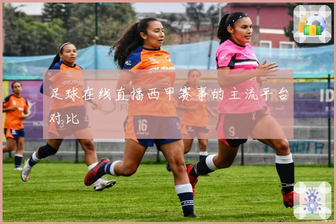 足球在线直播西甲赛事的主流平台对比