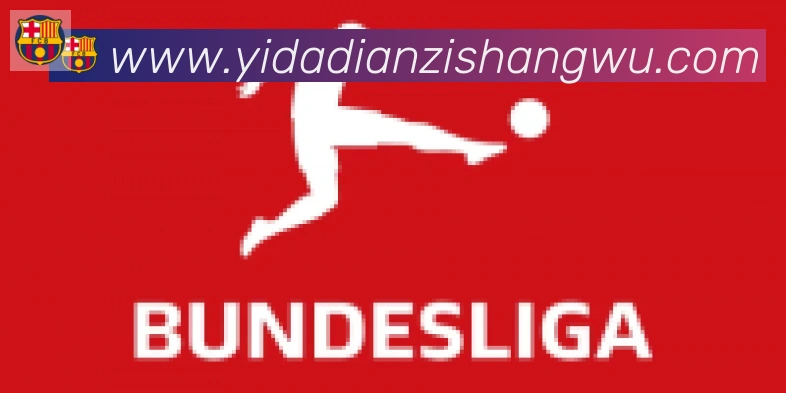 博亚app官网登录入口合作伙伴